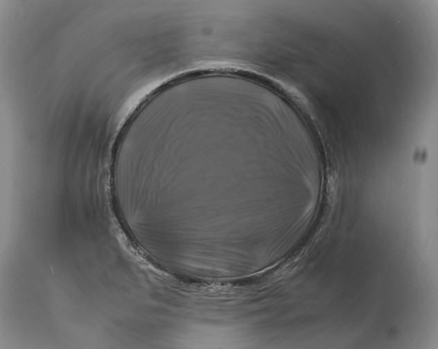 X0000115101279200911171232