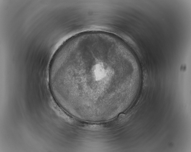 X0000115101280200911171232