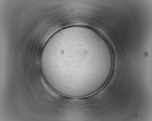 X0000115101281200911171232