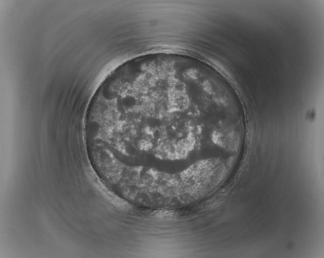 X0000115101283200911171232