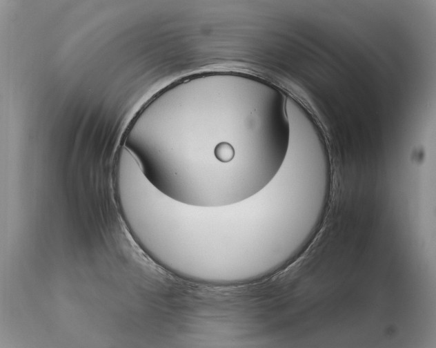 X0000115101284200911171232