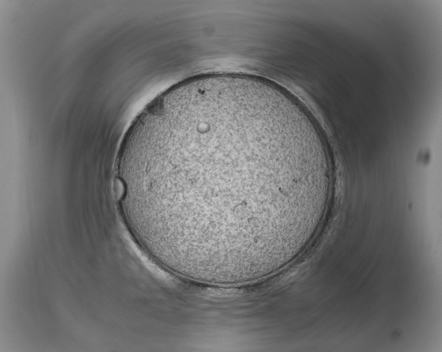 X0000115101285200911171232