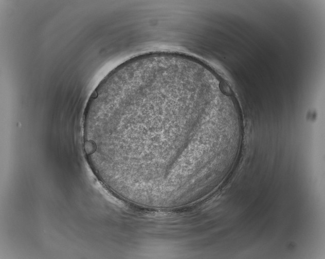 X0000115101287200911171232