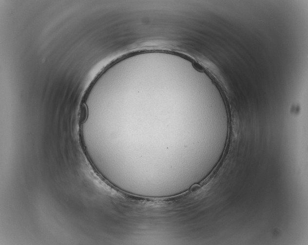 X0000115101288200911171232