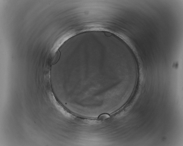 X0000115101289200911171232