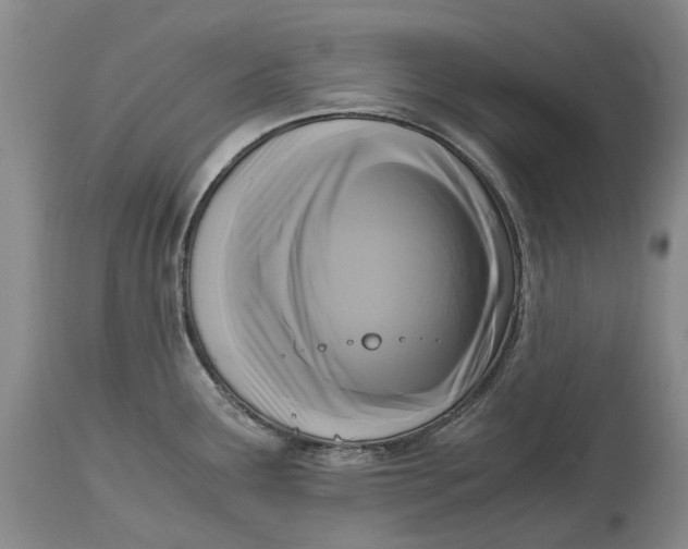 X0000115101291200911171232