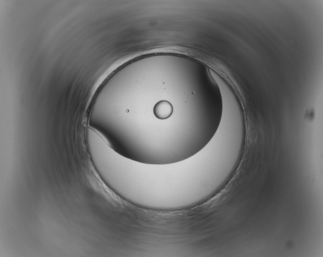 X0000115101292200911171232