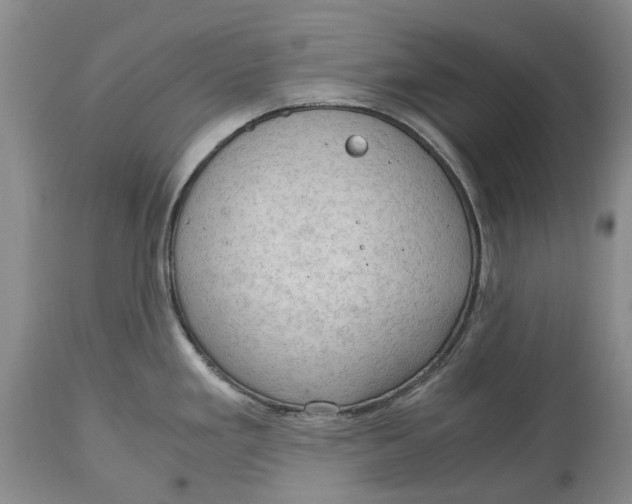 X0000115101293200911171232