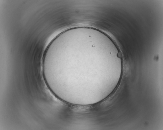 X0000115101294200911171232