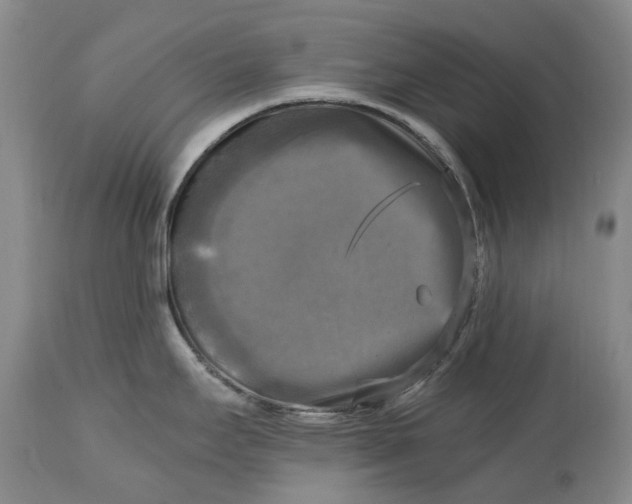 X0000115101295200911171232