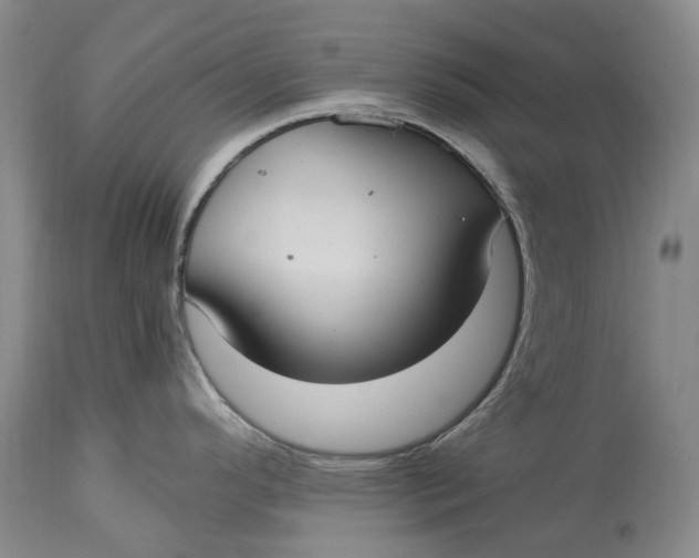 X0000115101296200911171232