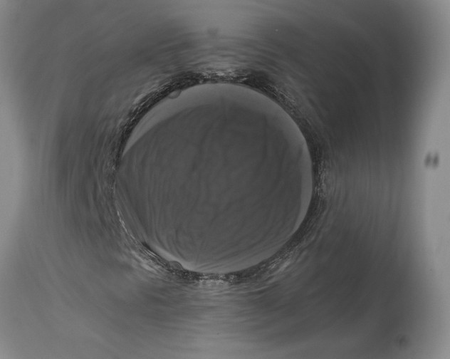 X0000115101297200911171231