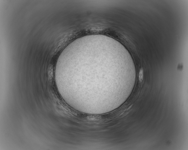 X0000115101299200911171231