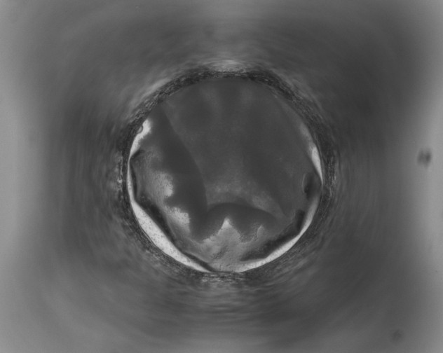 X0000115101301200911171231