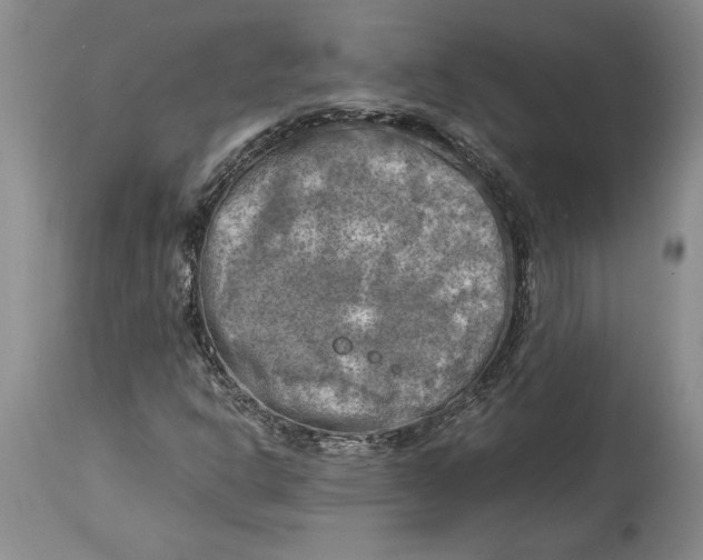 X0000115101302200911171231