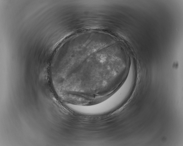 X0000115101305200911171231