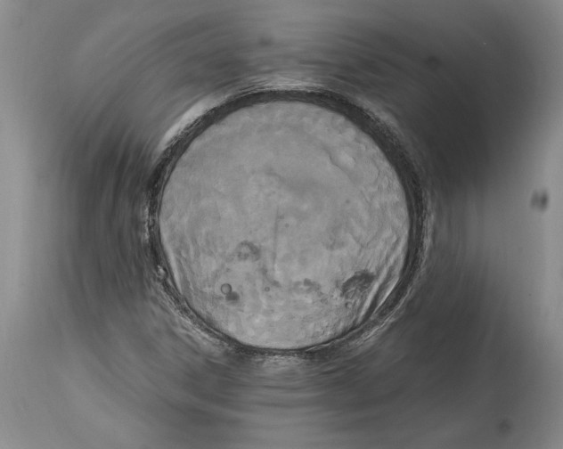 X0000115101306200911171231