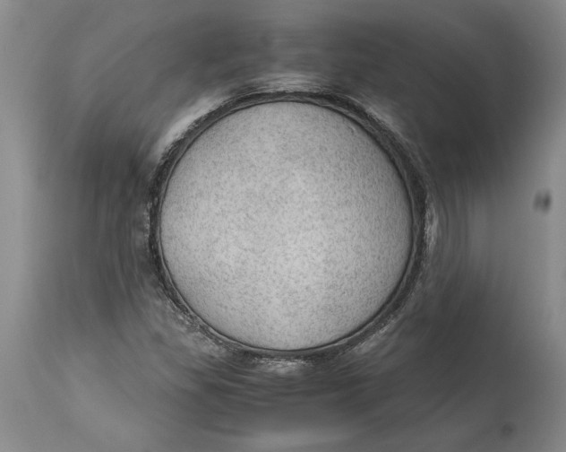 X0000115101309200911171231