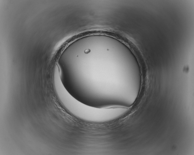 X0000115101310200911171231