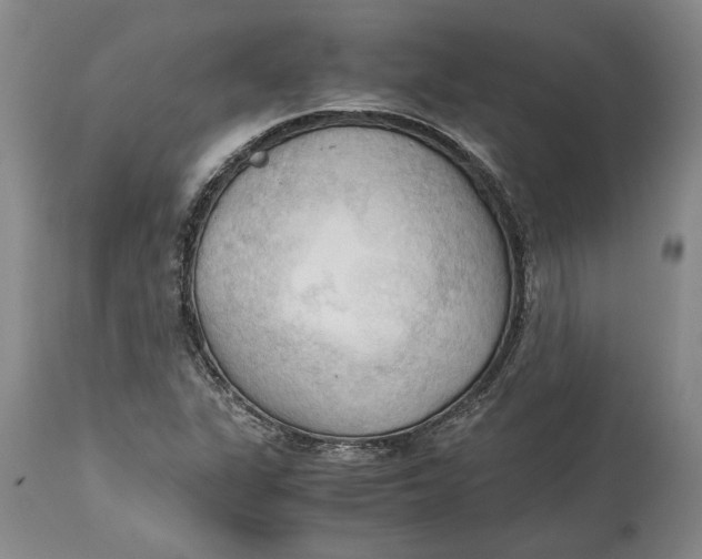 X0000115101311200911171231