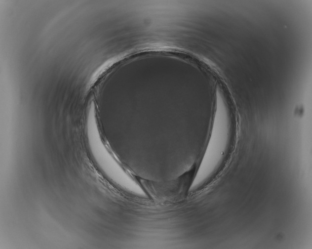 X0000115101314200911171231