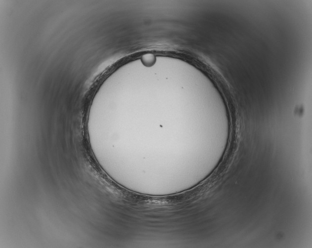 X0000115101315200911171231