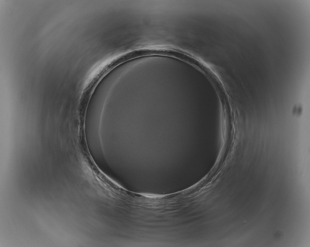 X0000115101319200911171231