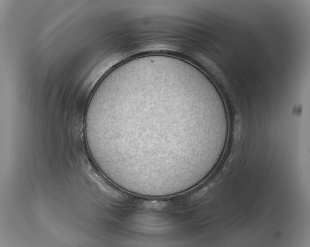 X0000115101321200911171231