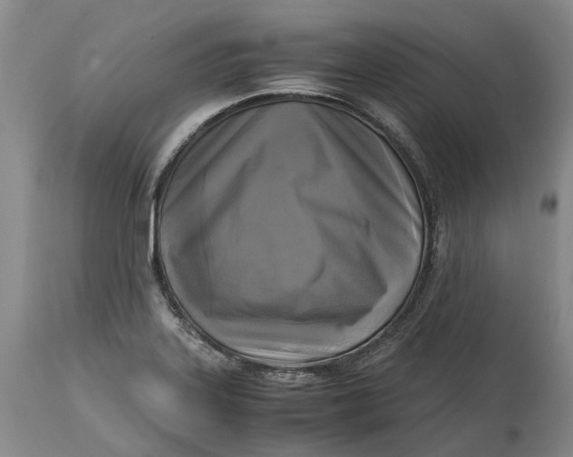 X0000115101323200911171231