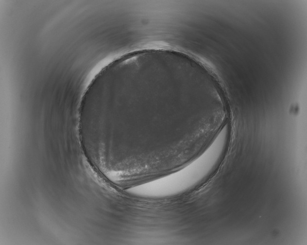 X0000115101326200911171231