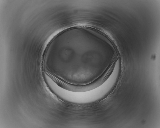 X0000115101331200911171231