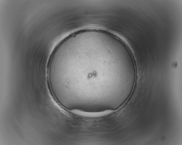 X0000115101335200911171232