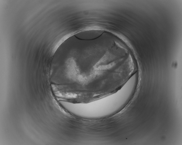 X0000115101337200911171232