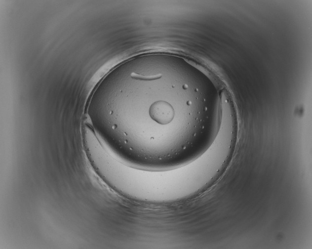 X0000115101338200911171232