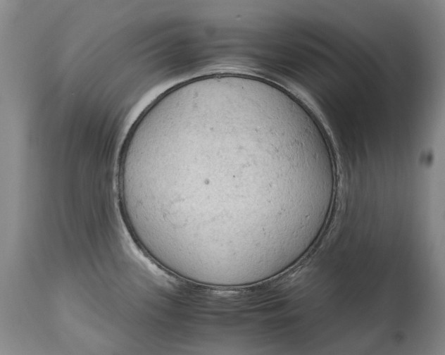 X0000115101339200911171232