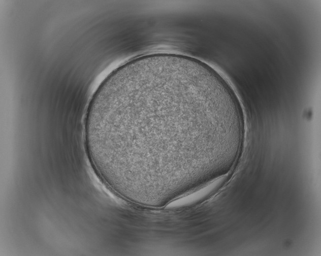 X0000115101341200911171232