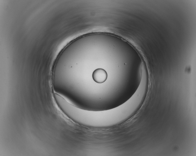 X0000115101342200911171232