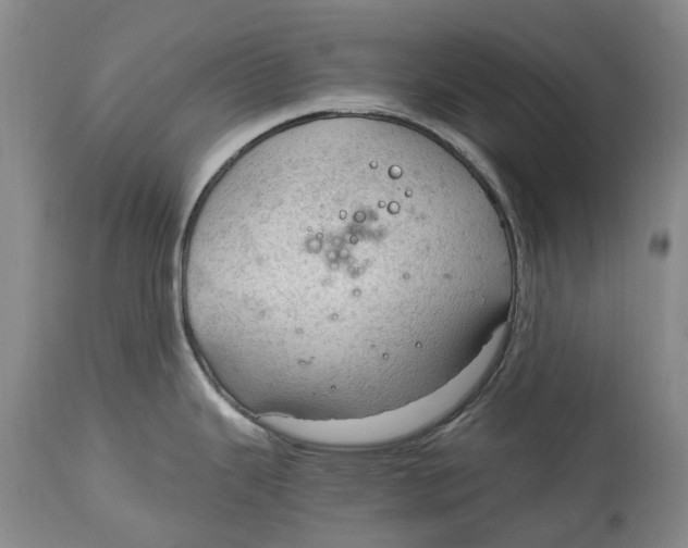 X0000115101343200911171232