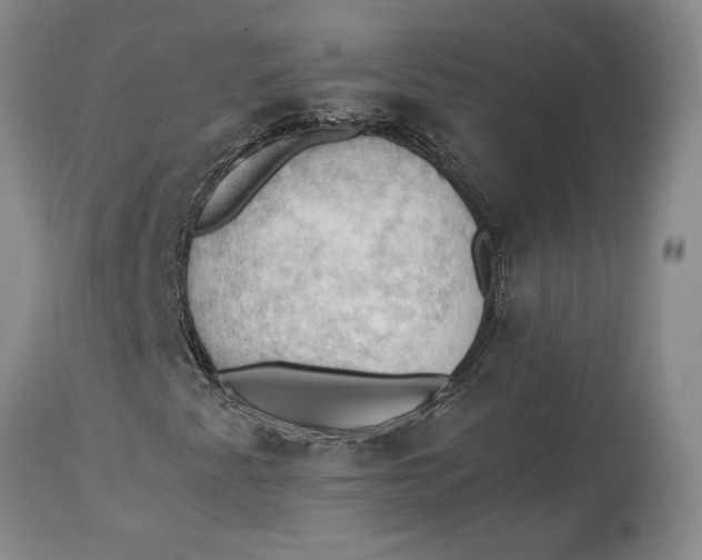 X0000115101345200911171231