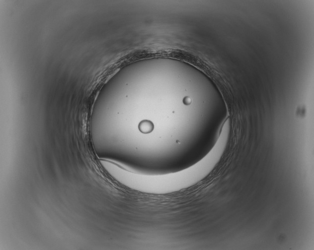 X0000115101348200911171231