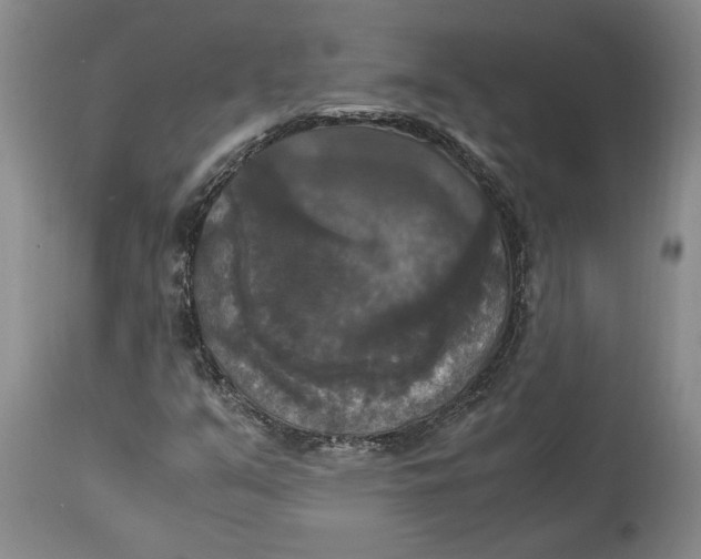 X0000115101351200911171231