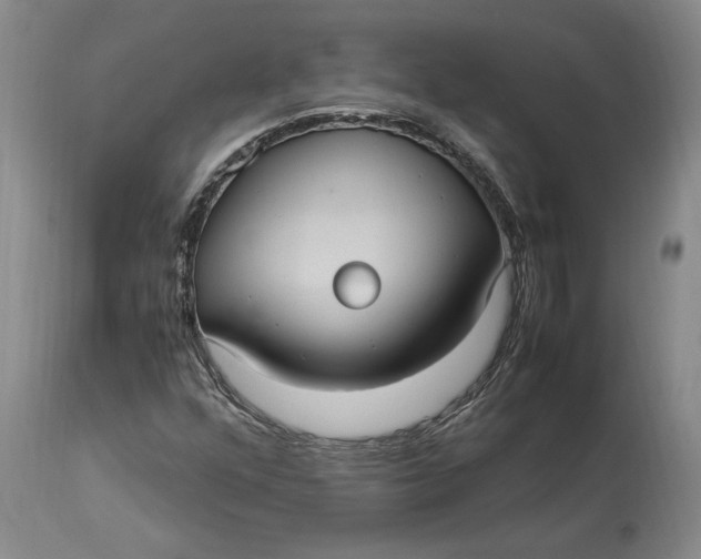 X0000115101352200911171231