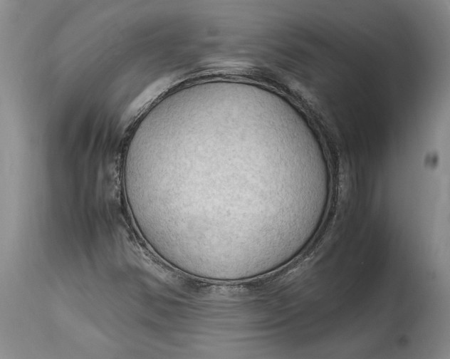 X0000115101354200911171231