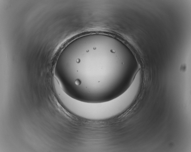 X0000115101356200911171231