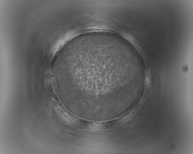 X0000115101357200911171231