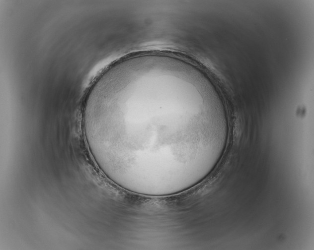 X0000115101358200911171231