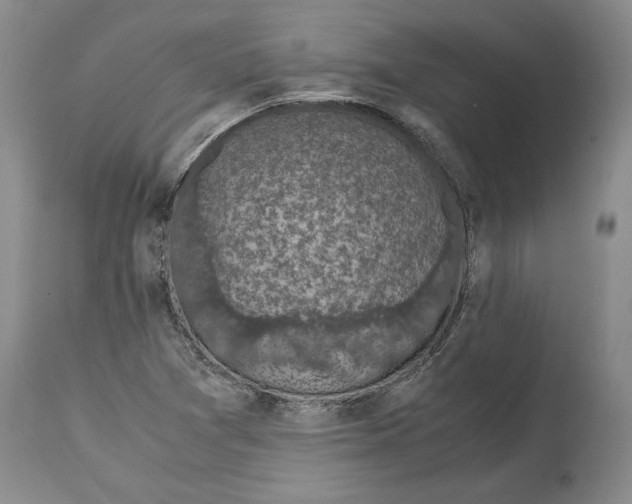 X0000115101361200911171231