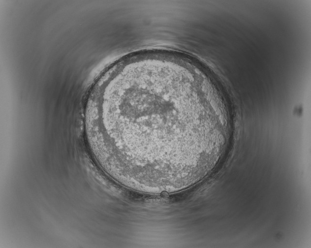 X0000115101363200911171231