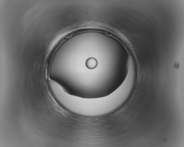 X0000115101368200911171230