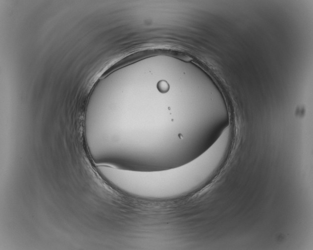 X0000115101369200911171230